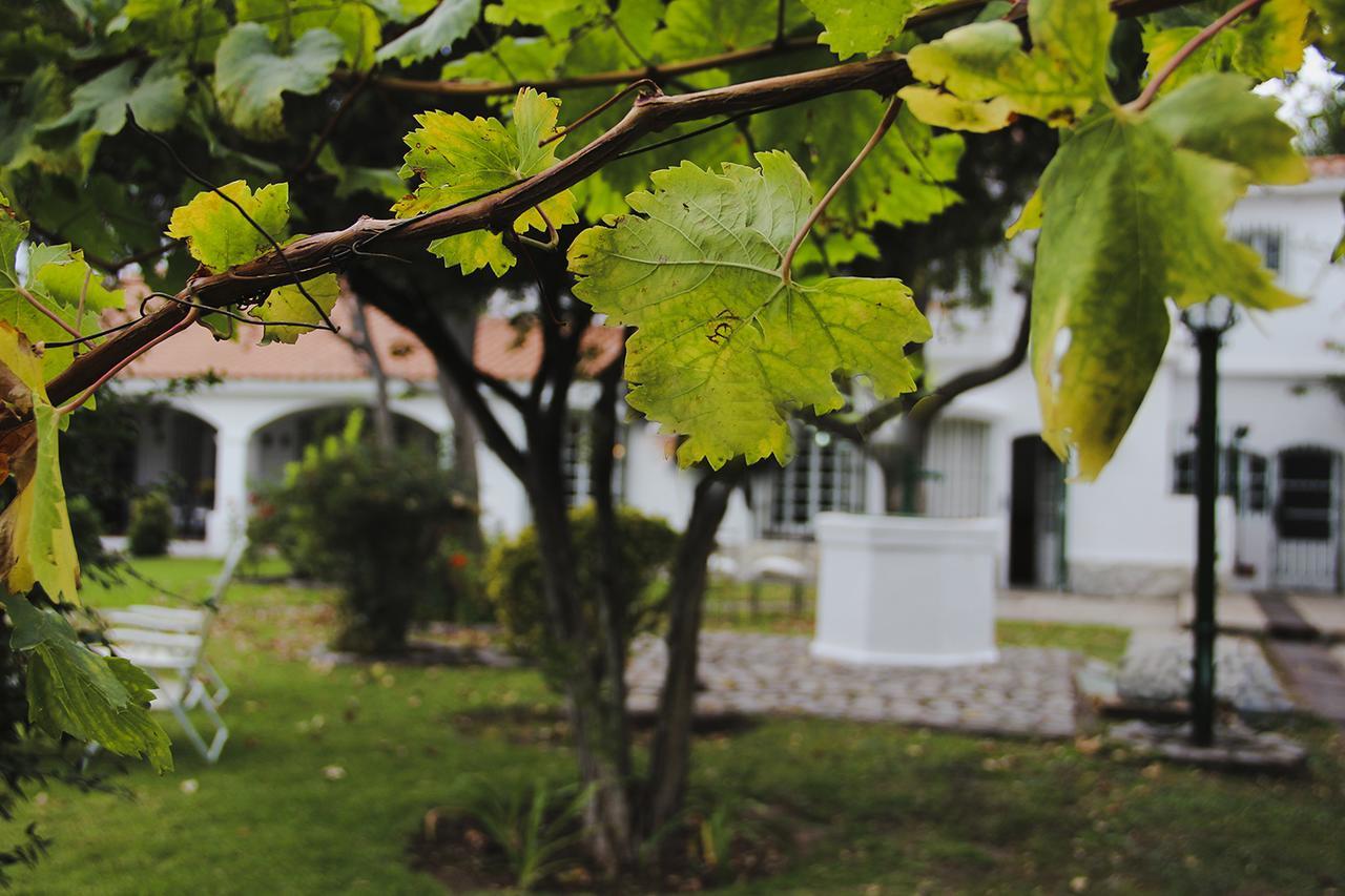 Chiara Lodge ชากราส เด โกเรีย ภายนอก รูปภาพ